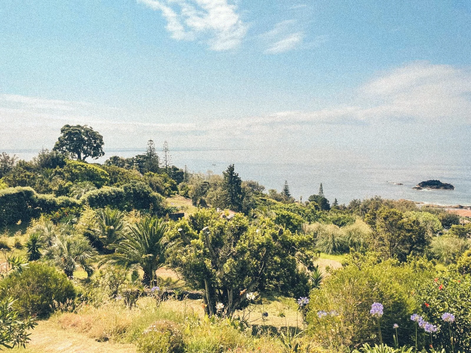 WhatsApp Image 2025-06-28 at 10.29.34.jpeg