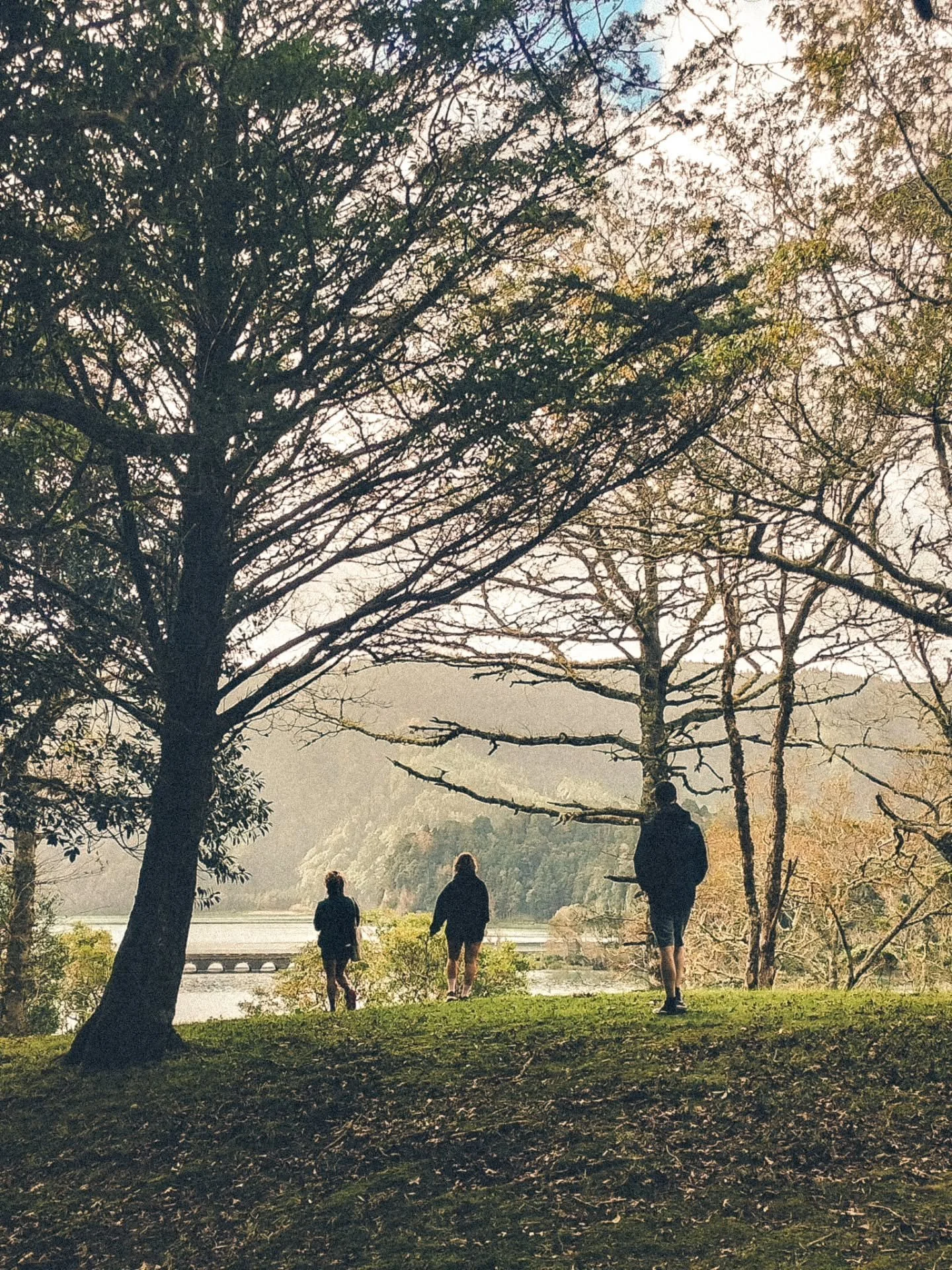 Such a wonderful start, light energy, big smiles, and a first day that felt beautifully alive 🌿🎨

We eased into the retreat with movement and time in nature, letting the landscape, wonderful lakes boost our mood and spark new ideas.
Finding real fo