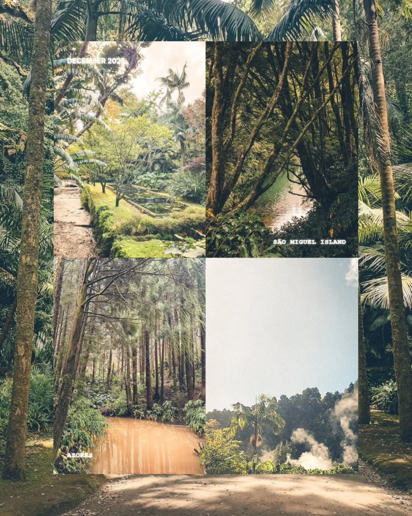 What's the mood of the month? Heading to the hotsprings on the chilly days, walking under the huge japenese cedars when it's raining and taking a refreshing bath in a waterfall. The beach is empty, the black sand is heated by the sun when it's out, r