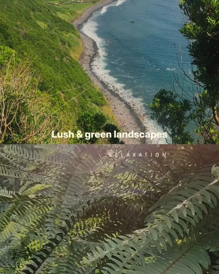 S&atilde;o Miguel gives us everything a retreat needs: local food and tropical fruit straight from the earth, villages you reach in minutes, trails that open up onto the whole coastline, and waves that ask nothing of you but to show up.

The roads ar