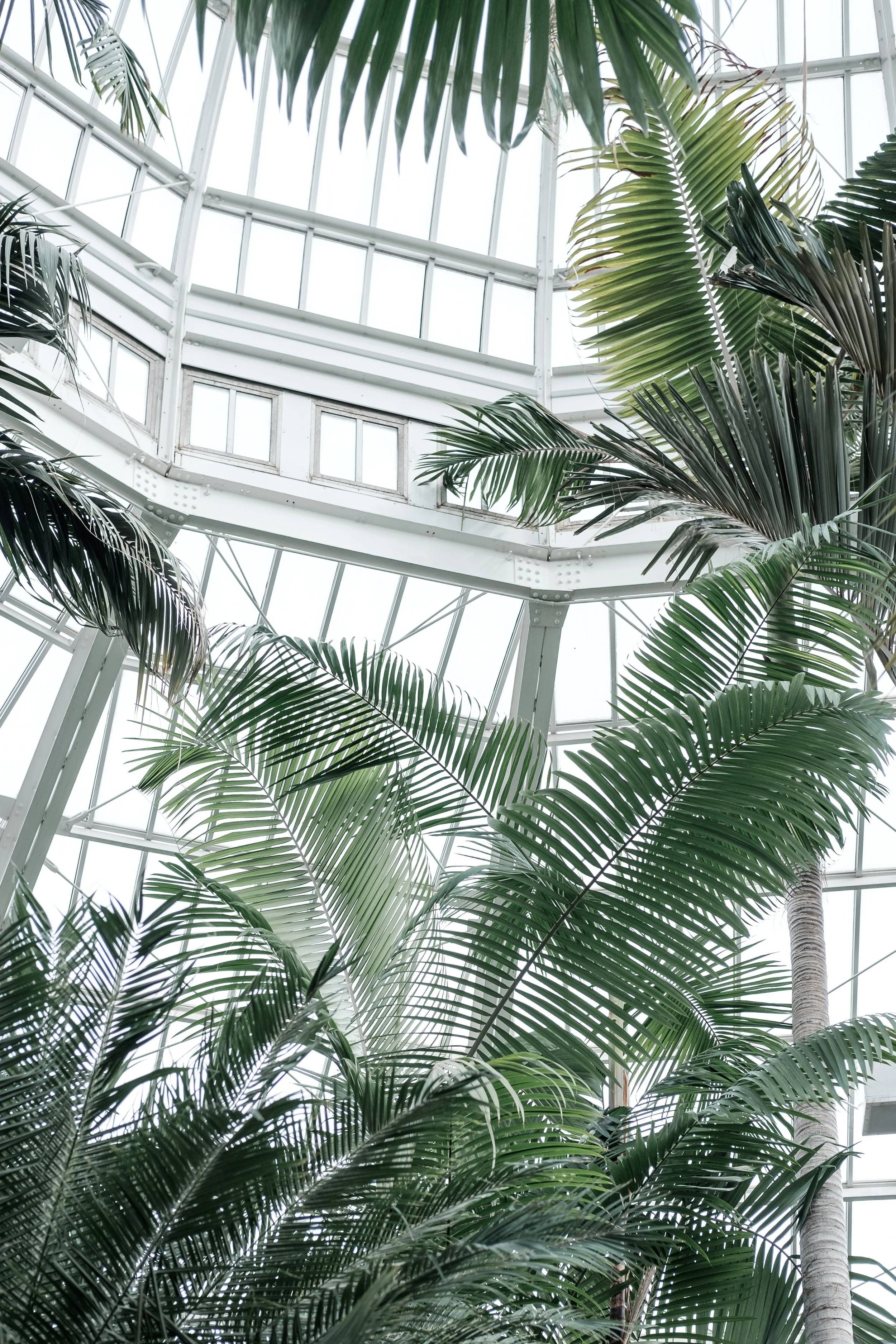 The Winchester Orangery.jpg