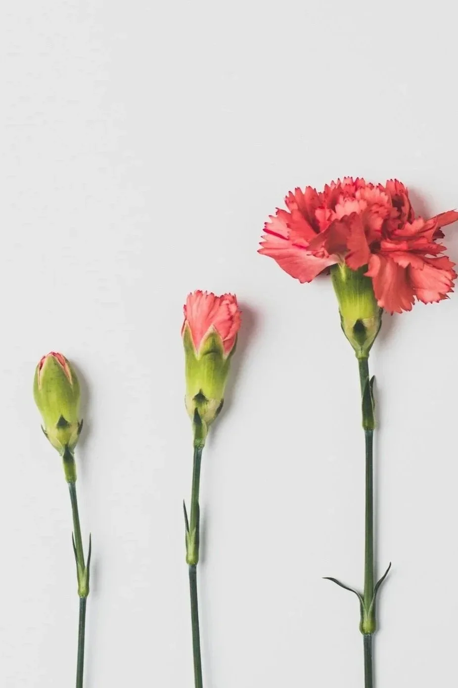 What to Expect when You End Therapy, According to our Therapists