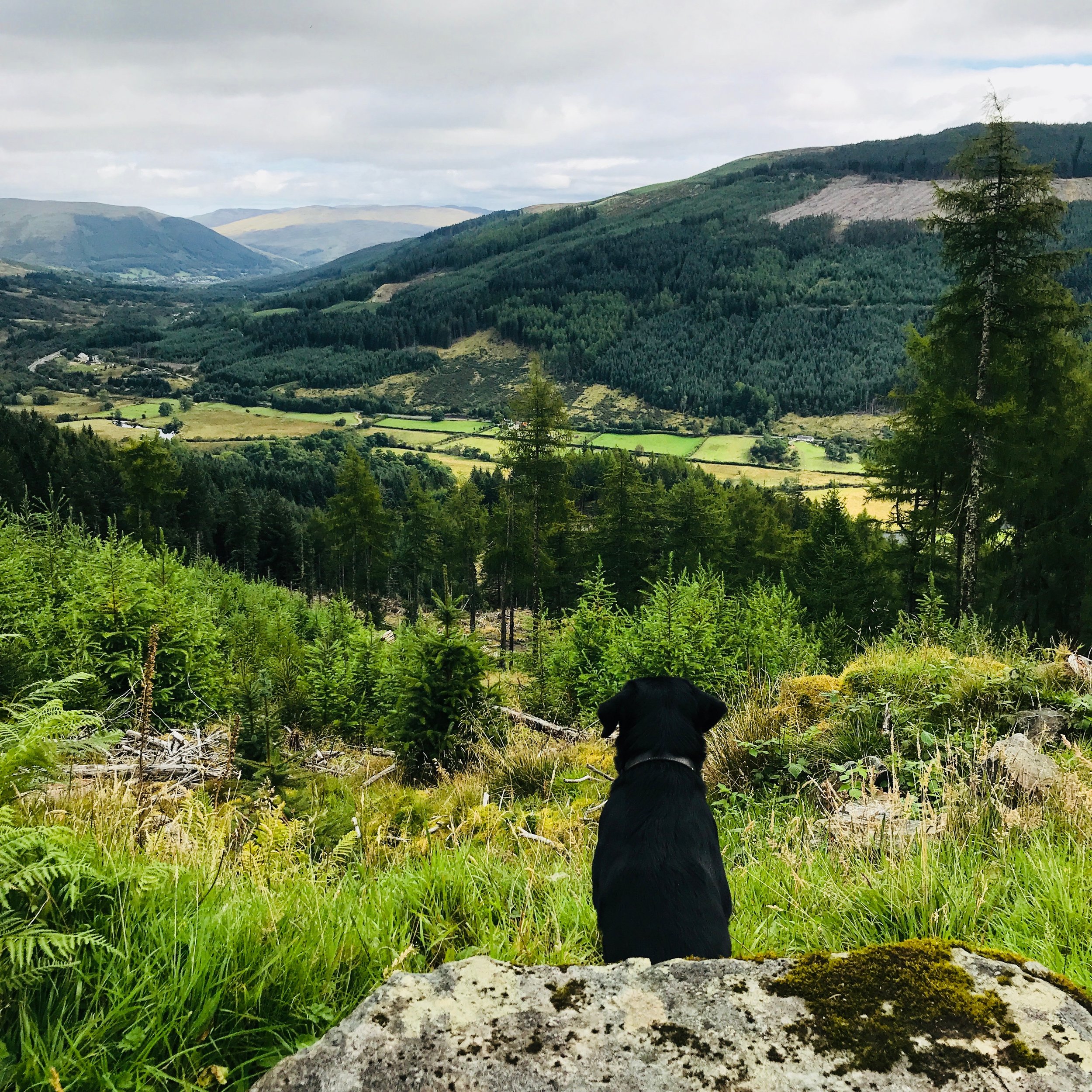 Green Tourism | Ardoch Lodge | Loch Lomond &amp; The Trossachs