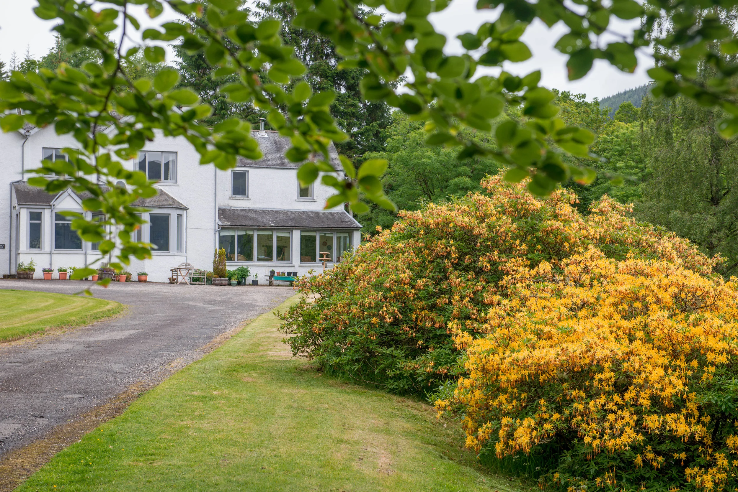 Ardoch Lodge SelfCatering Log Cabins & Cottage Loch Lomond & The