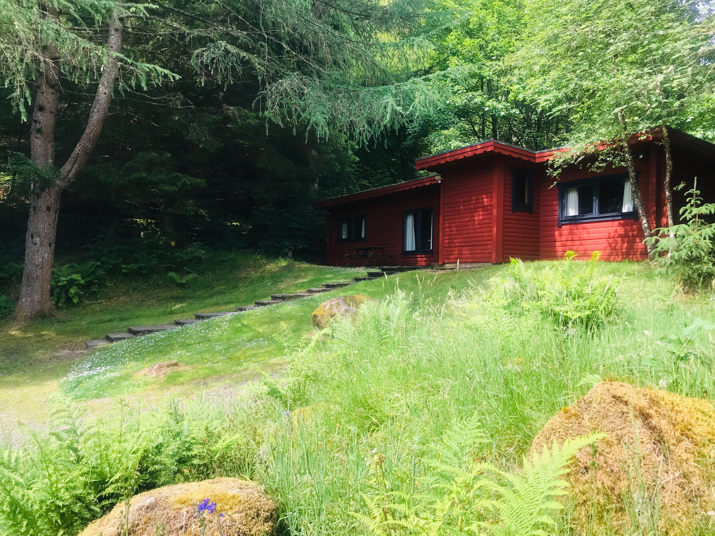 The Hillside | Ardoch Lodge | Loch Lomond & The Trossachs