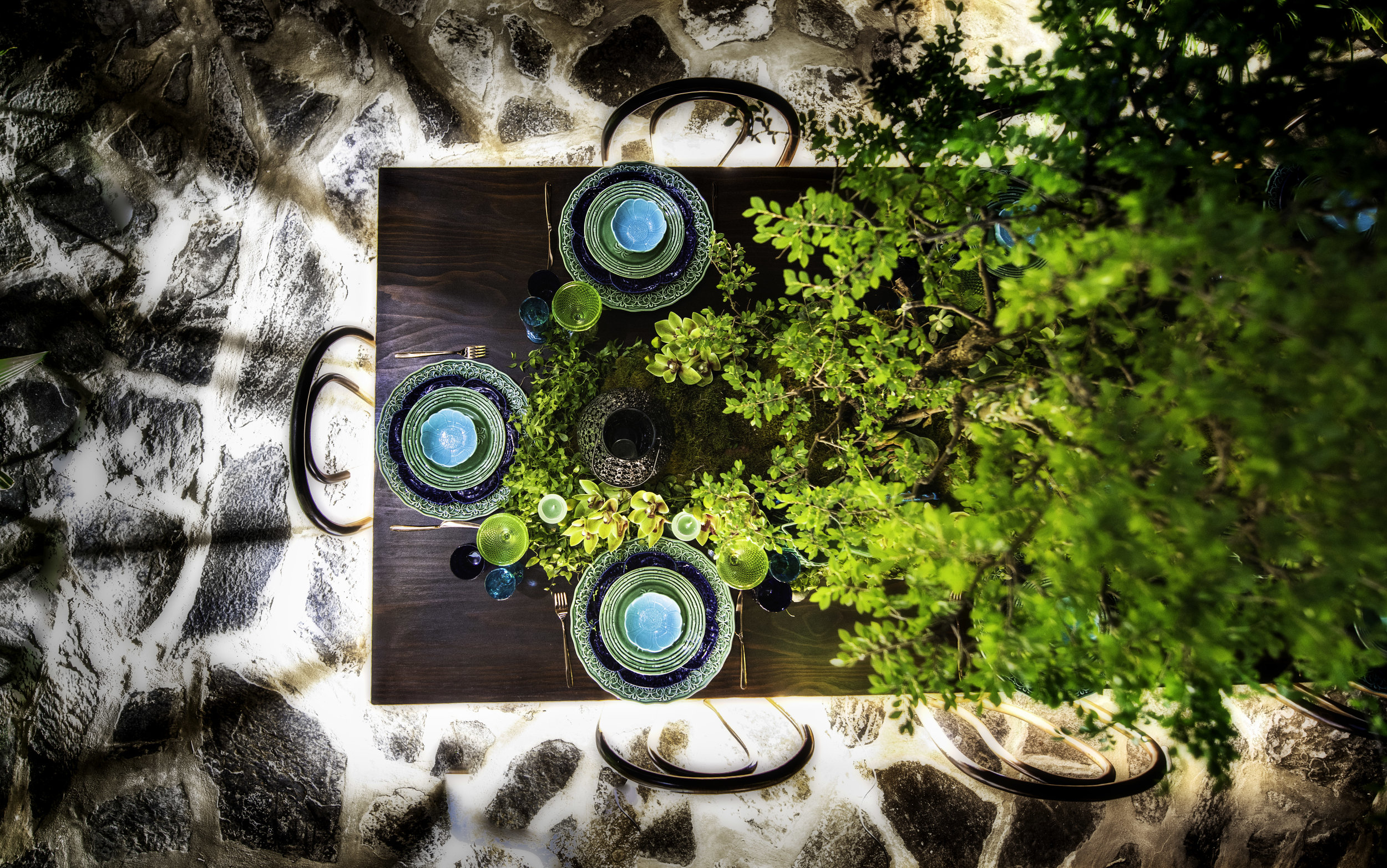 aerial view of wooden table set with artifacts and bonsai tree