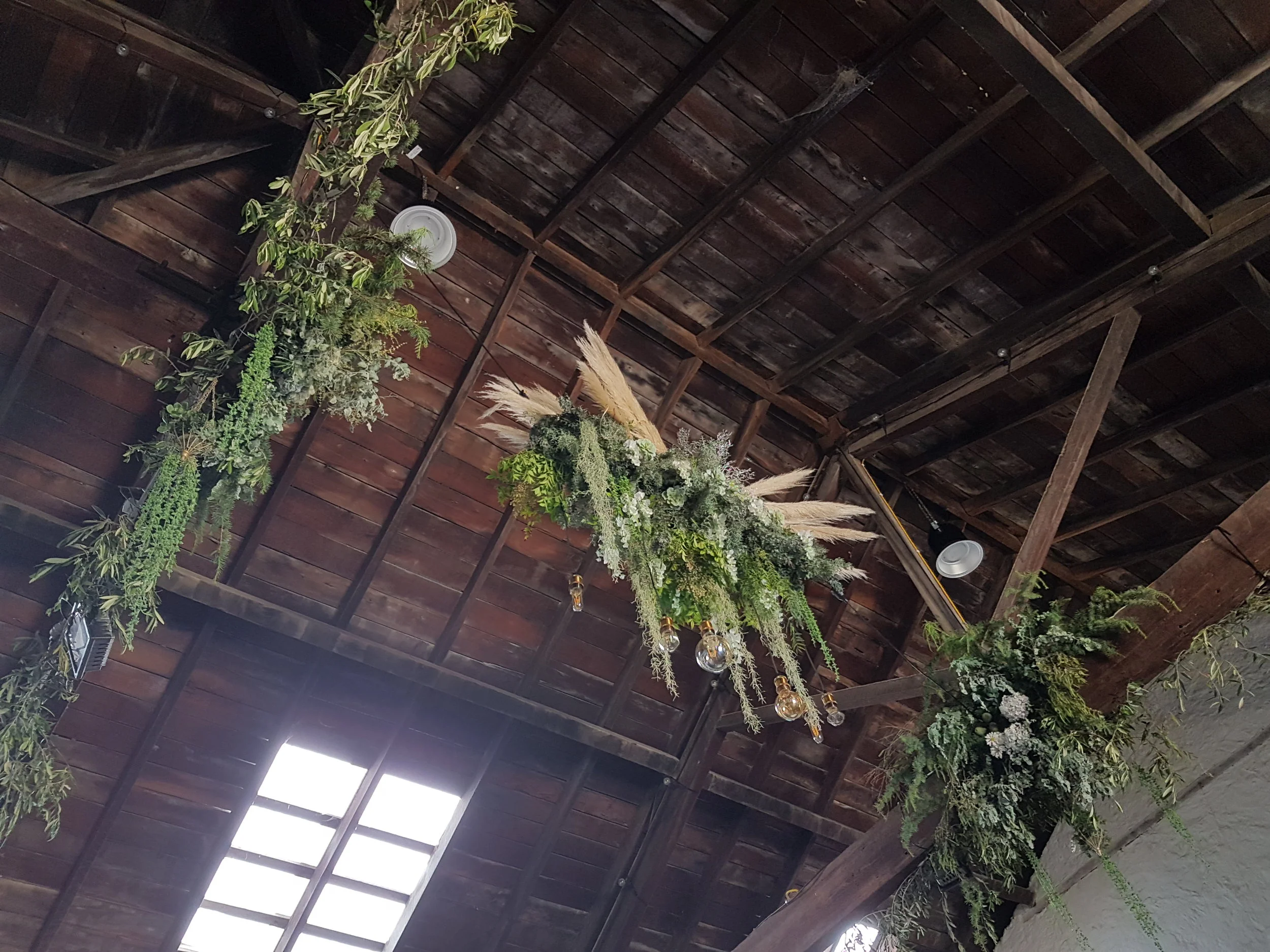 plant decorations hanging from a roof