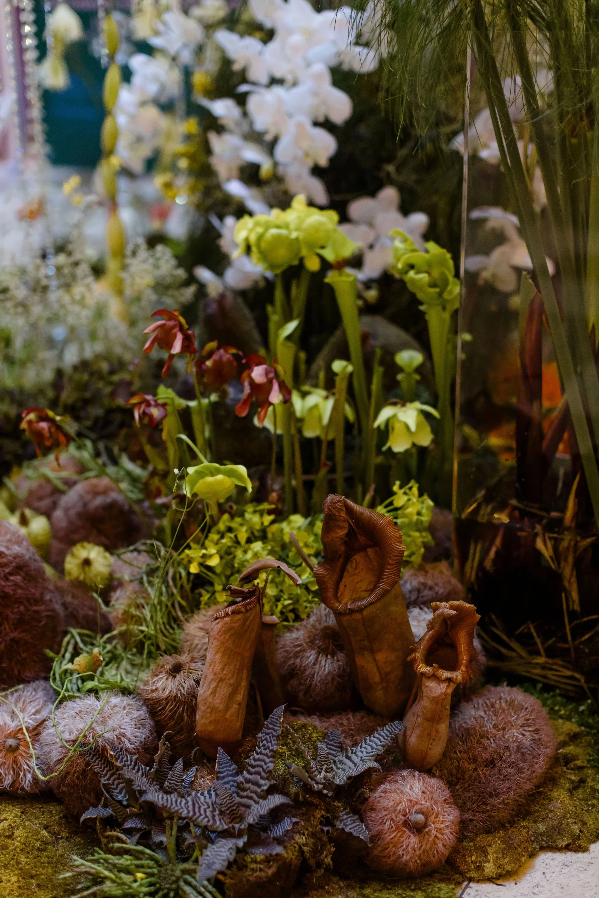 227-GATHER-FLORALEXHIBITION-24SEPT2023-RMOOLLA-SET1.JPG