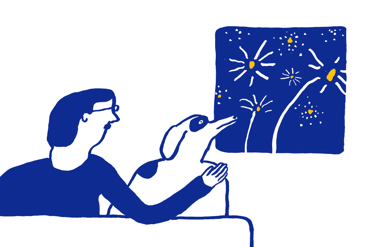 fireworks1a.jpg