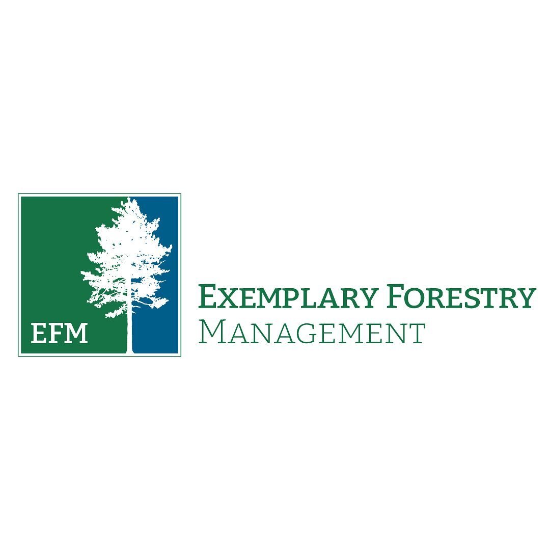 I'm a little behind sharing this logo I created for Exemplary Forestry Management, which is part of the Maine Mountain Collaborative. It never gets old working with organizations that are truly doing some great things for the environment. Be sure to 