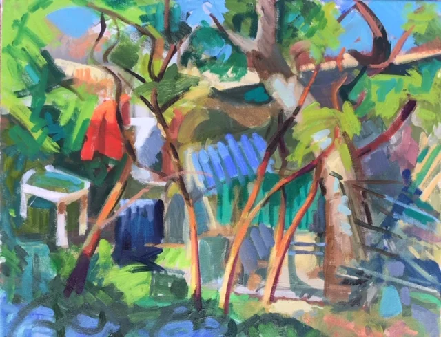Antonia Williams - Squatter's Back Yard