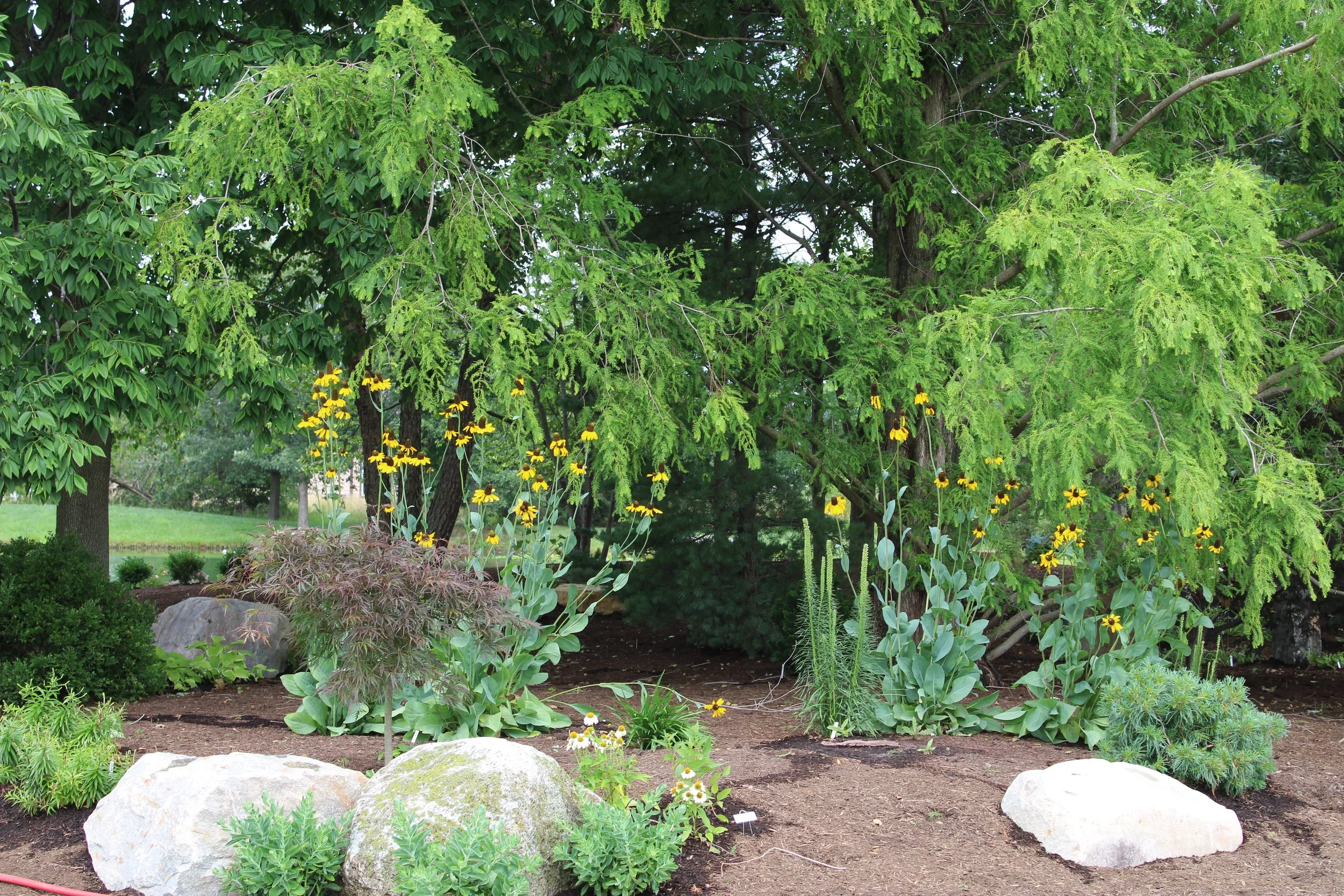 Creating a Display Garden