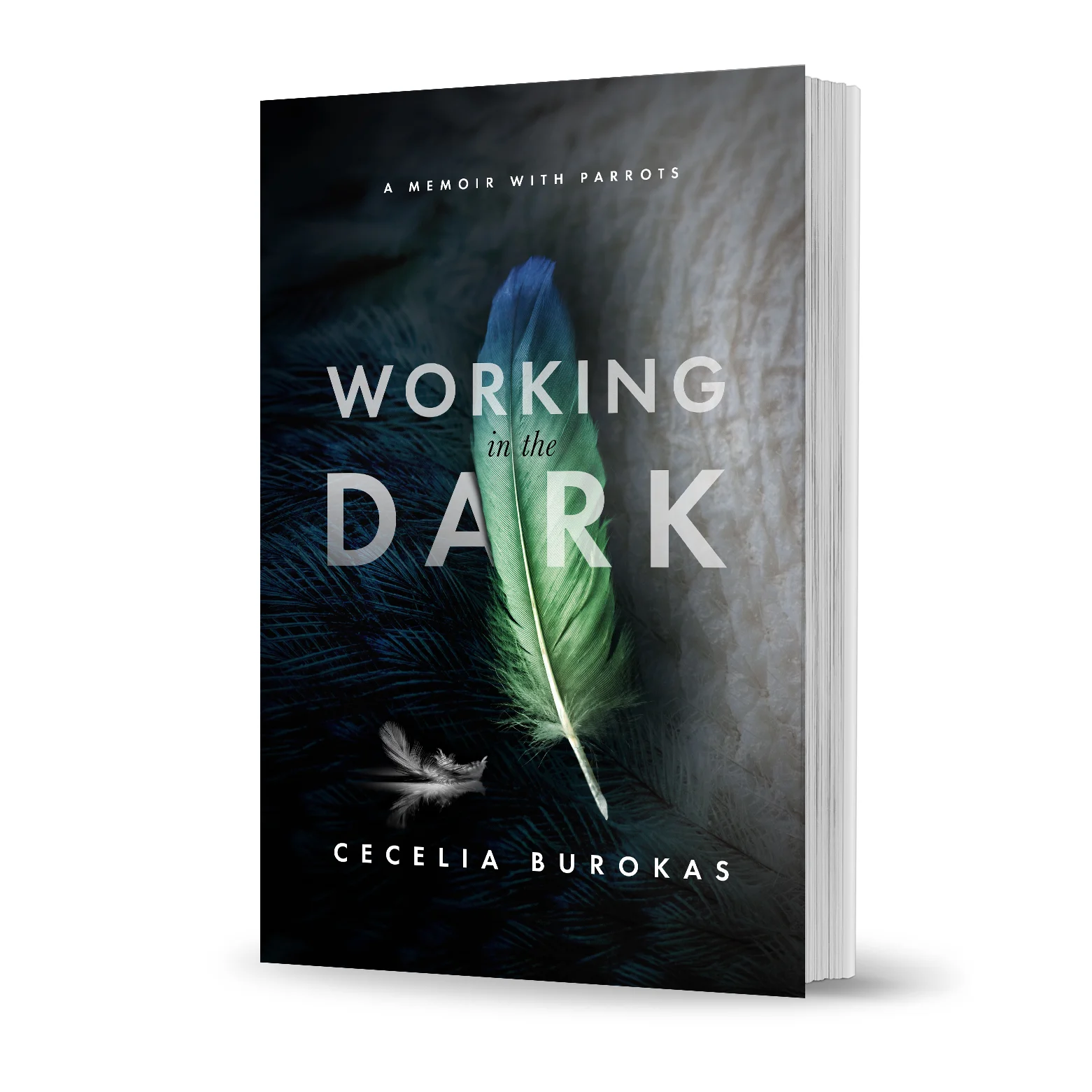 Cover.Cecelia book.jpg