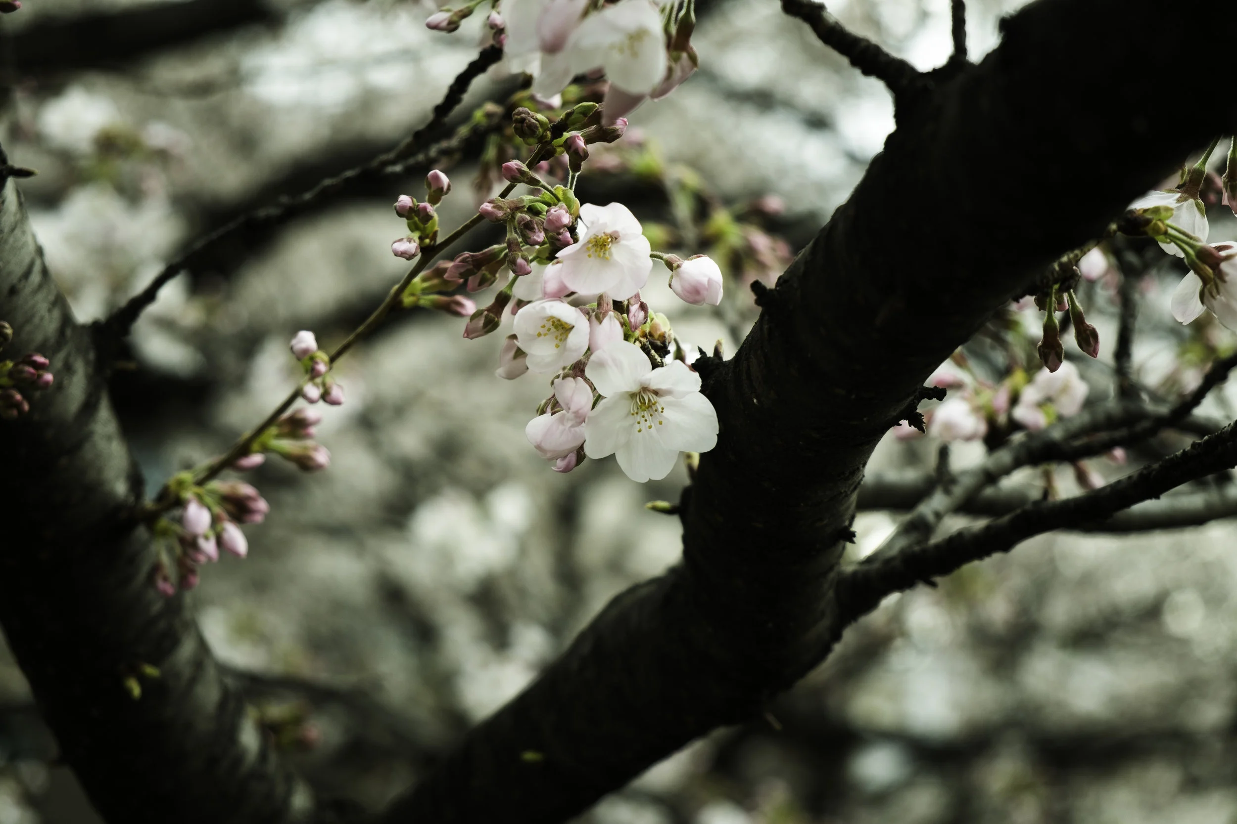 Reader's Place: May 2019