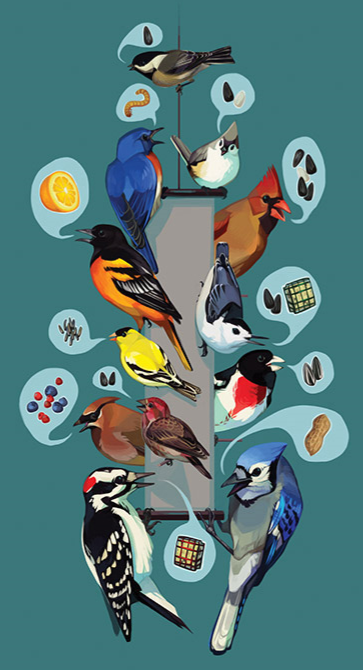 Backyard Birds.png