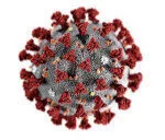 COVID-19 Coronavirus Update