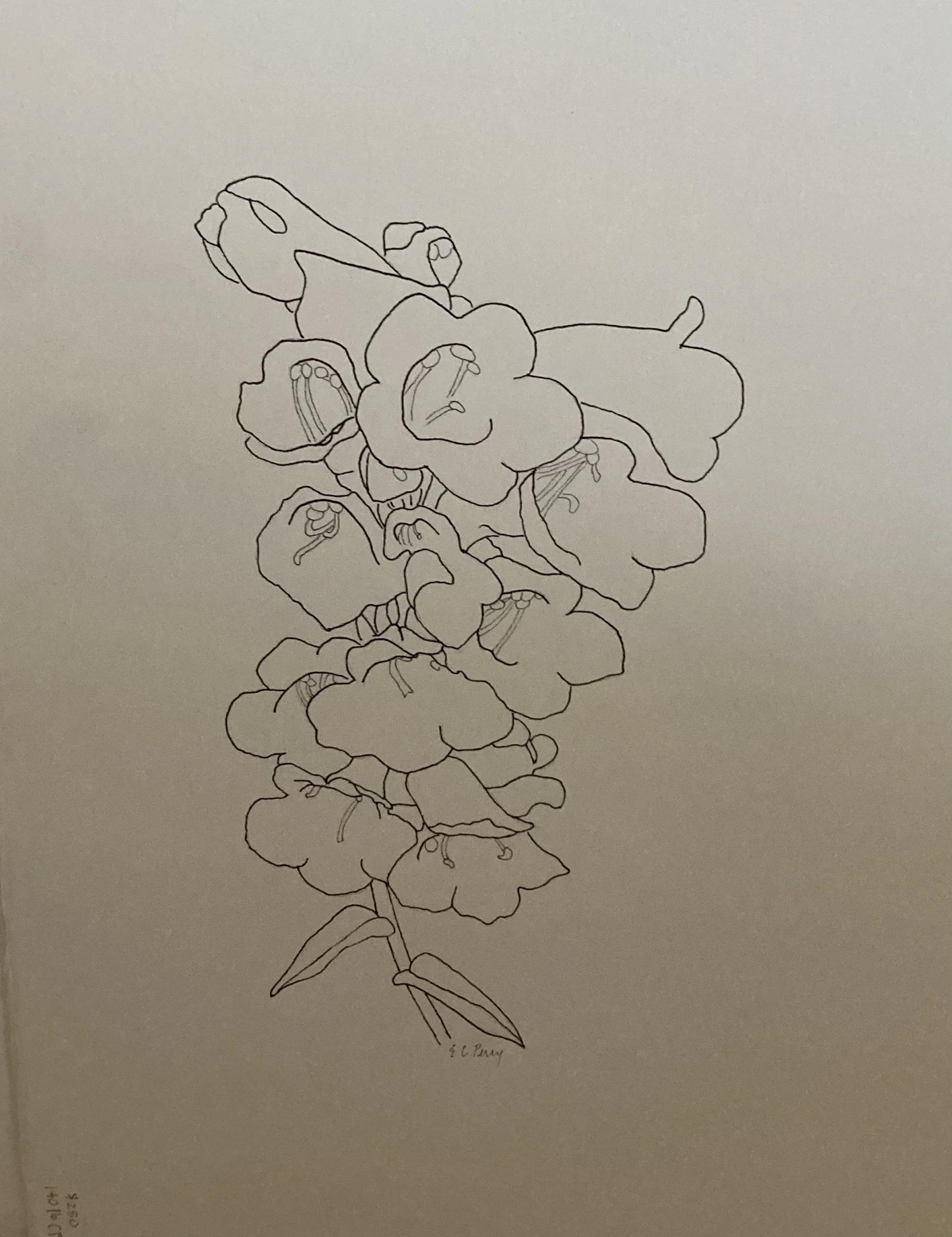EPerry3.jpg