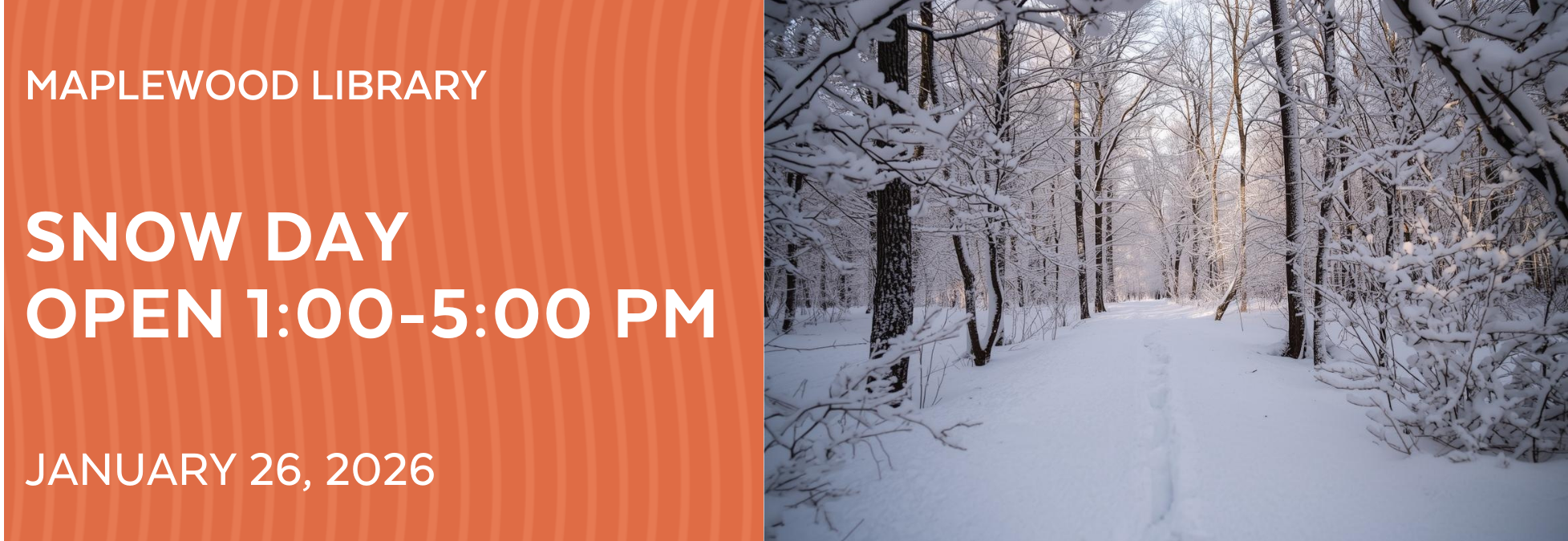 Copy of Website Carousel Templates(1).png