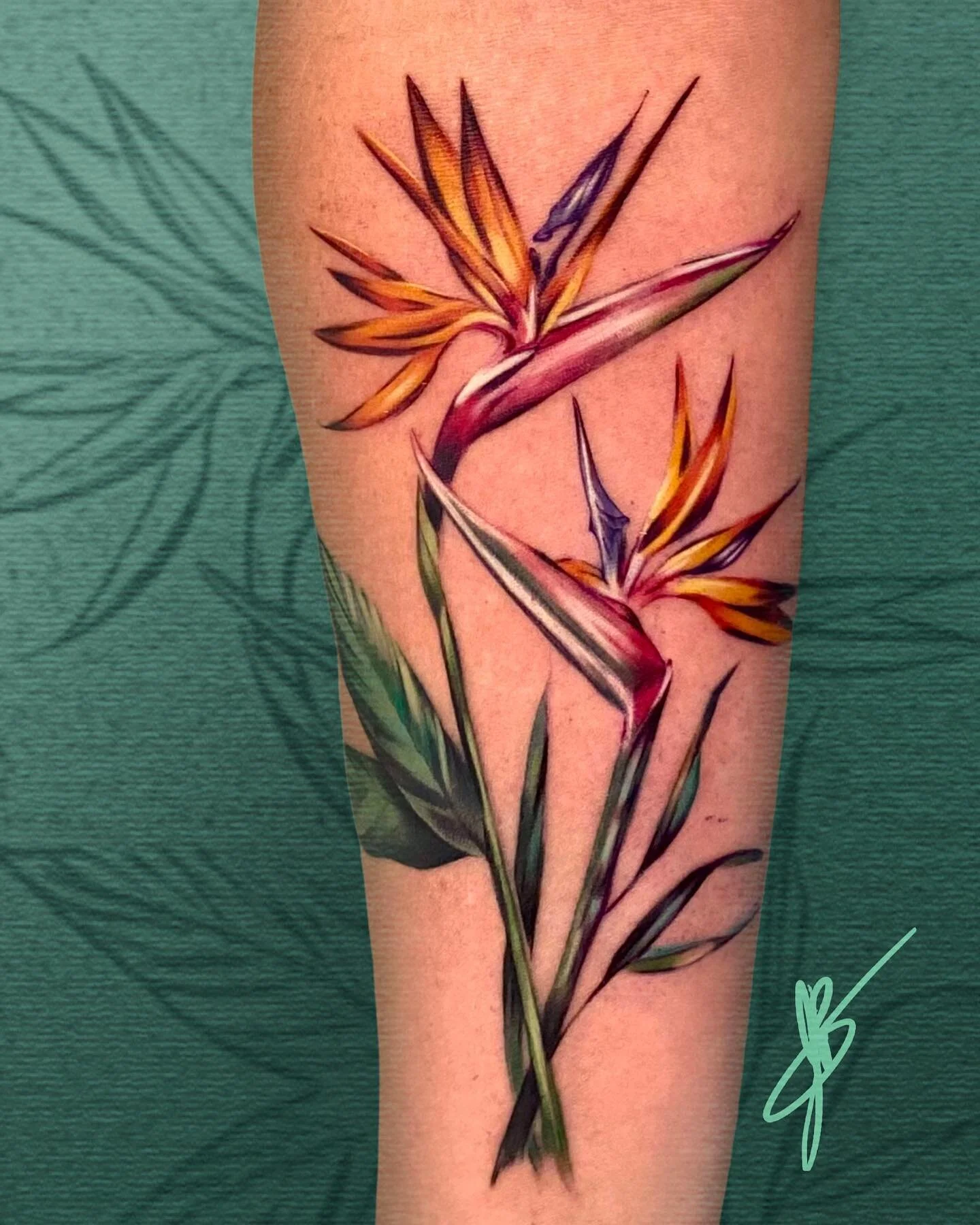 Bird Of Paradise Plant Tattoo
