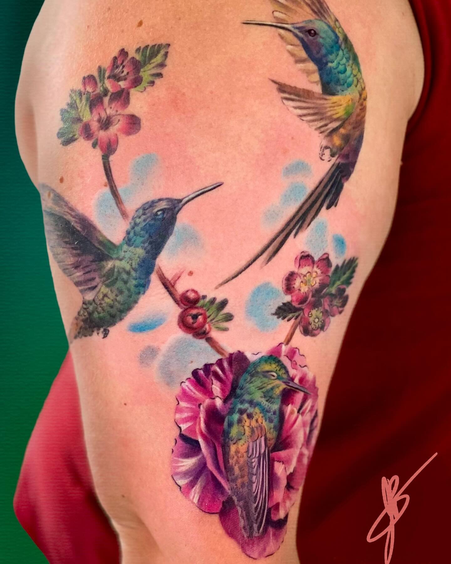 Two hummingbirds playing and one asleep on a flower. Have you ever seen a hummingbird asleep? They're adorable. Once, when my cat brought a hummingbird inside, I caught it to release it outside. It stood on my finger until and I waited patiently as i