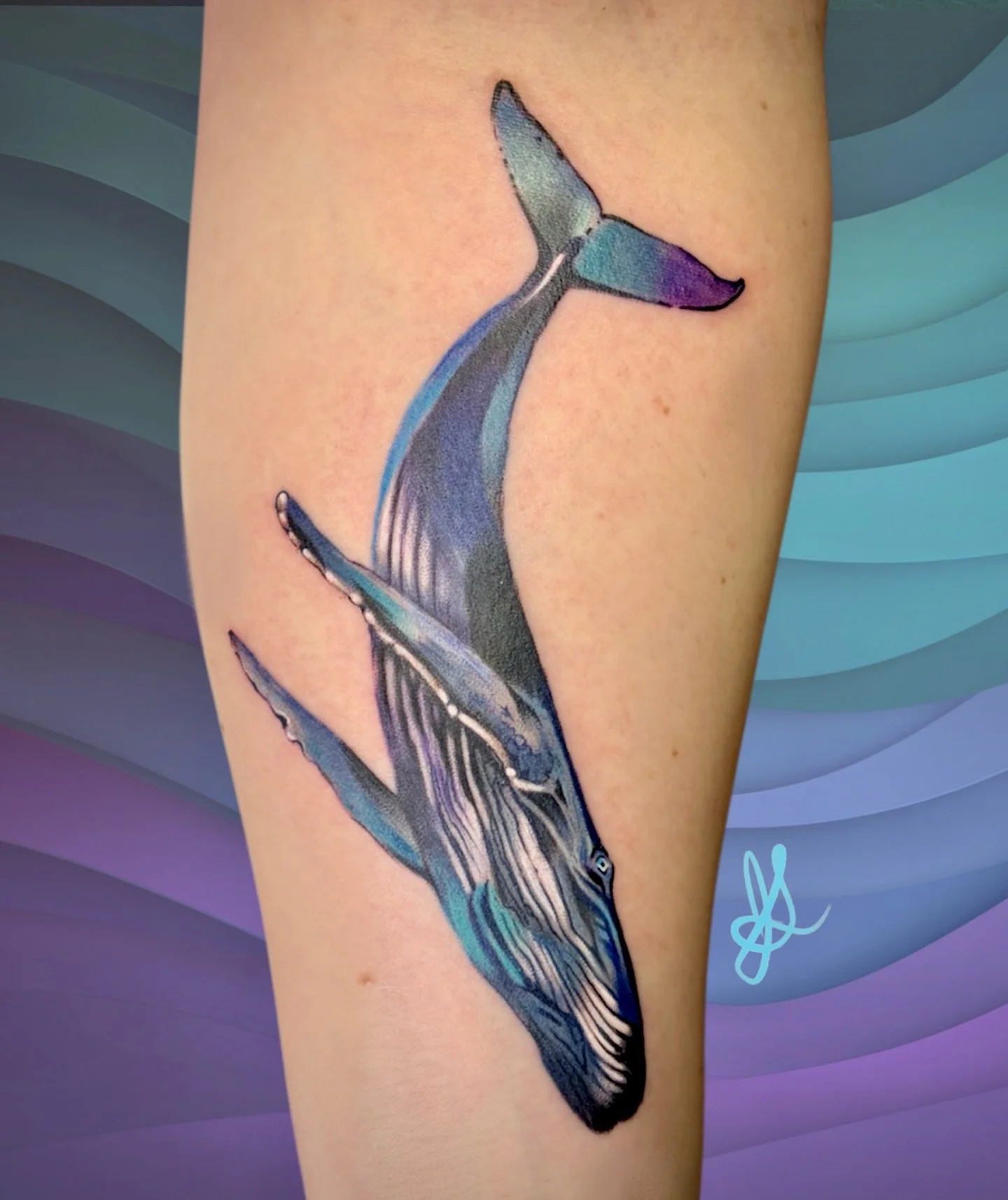 Great shadows rise from the deep blue glass,
Breath like clouds in the salted air.
They roll and dive where the wide tides pass,
Joy moving through water everywhere.

A flick of a tail, a gleam of a fin&mdash;
The ocean laughing in slow, great arcs.
