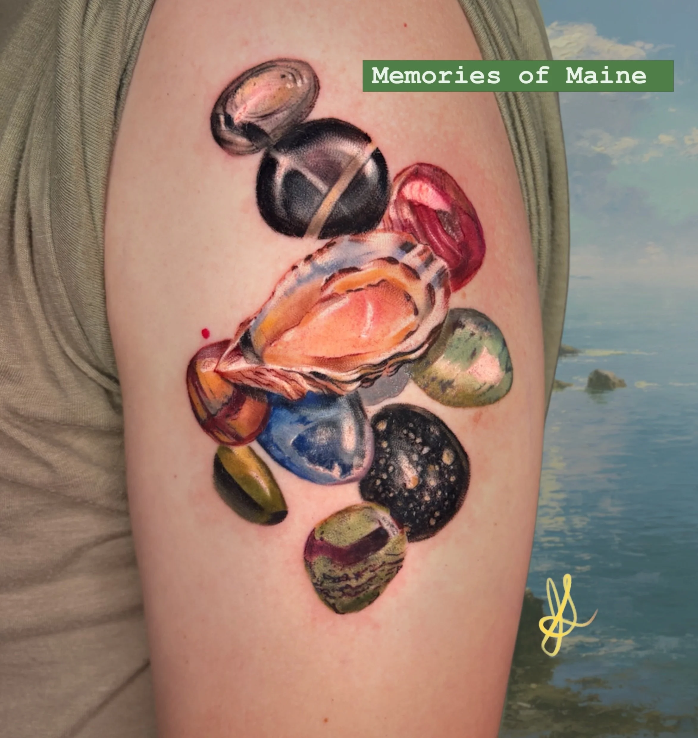 You can almost hear the ocean, gentle lapping waves polishing stones into beautiful treasures. Memories of happy times spent with loved ones, memories of earth&rsquo;s long history and the inexorable forces that gave rise to our world. #memories #oce