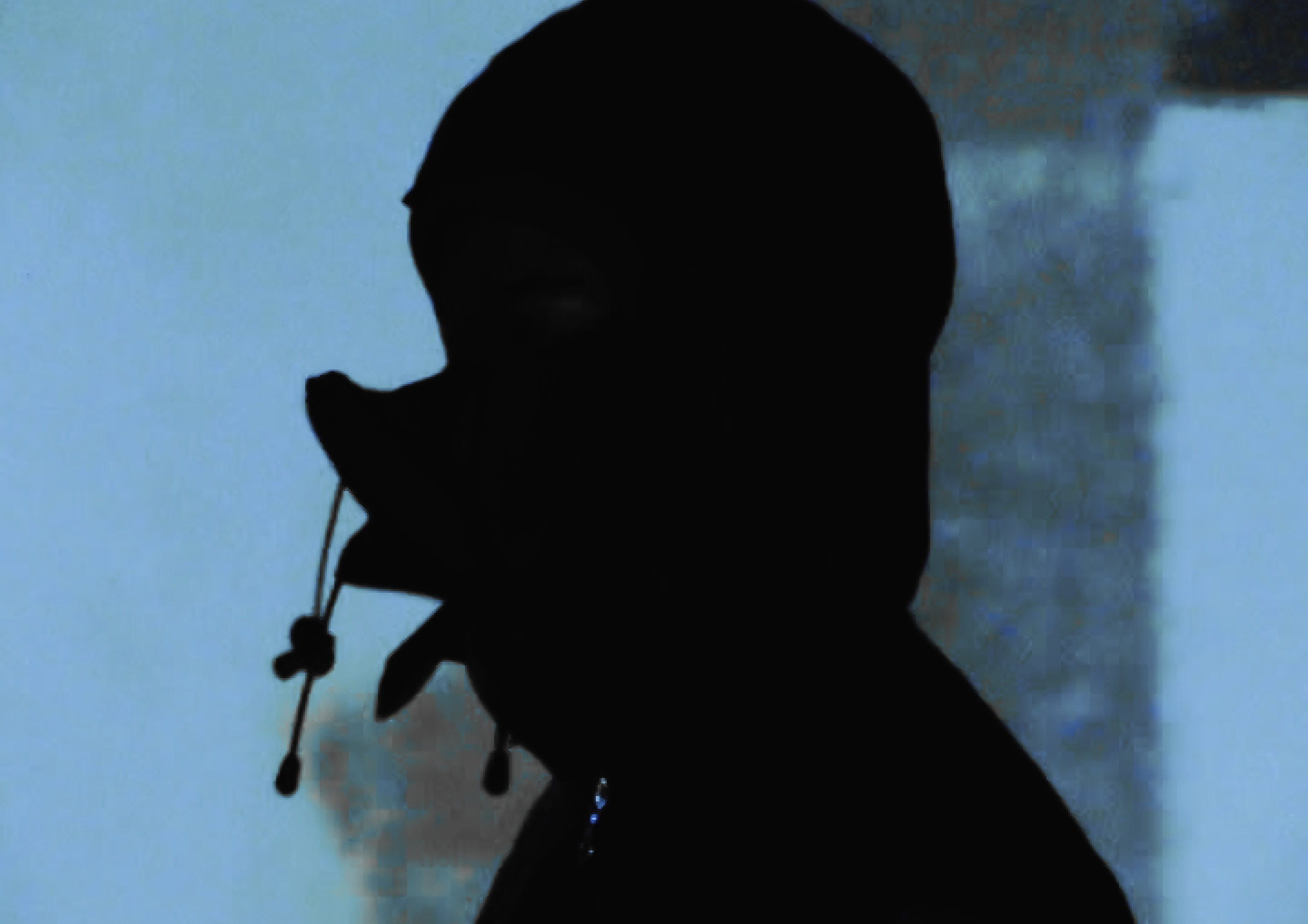 --VEXED PHYSICAL EDIT2jw5.jpg