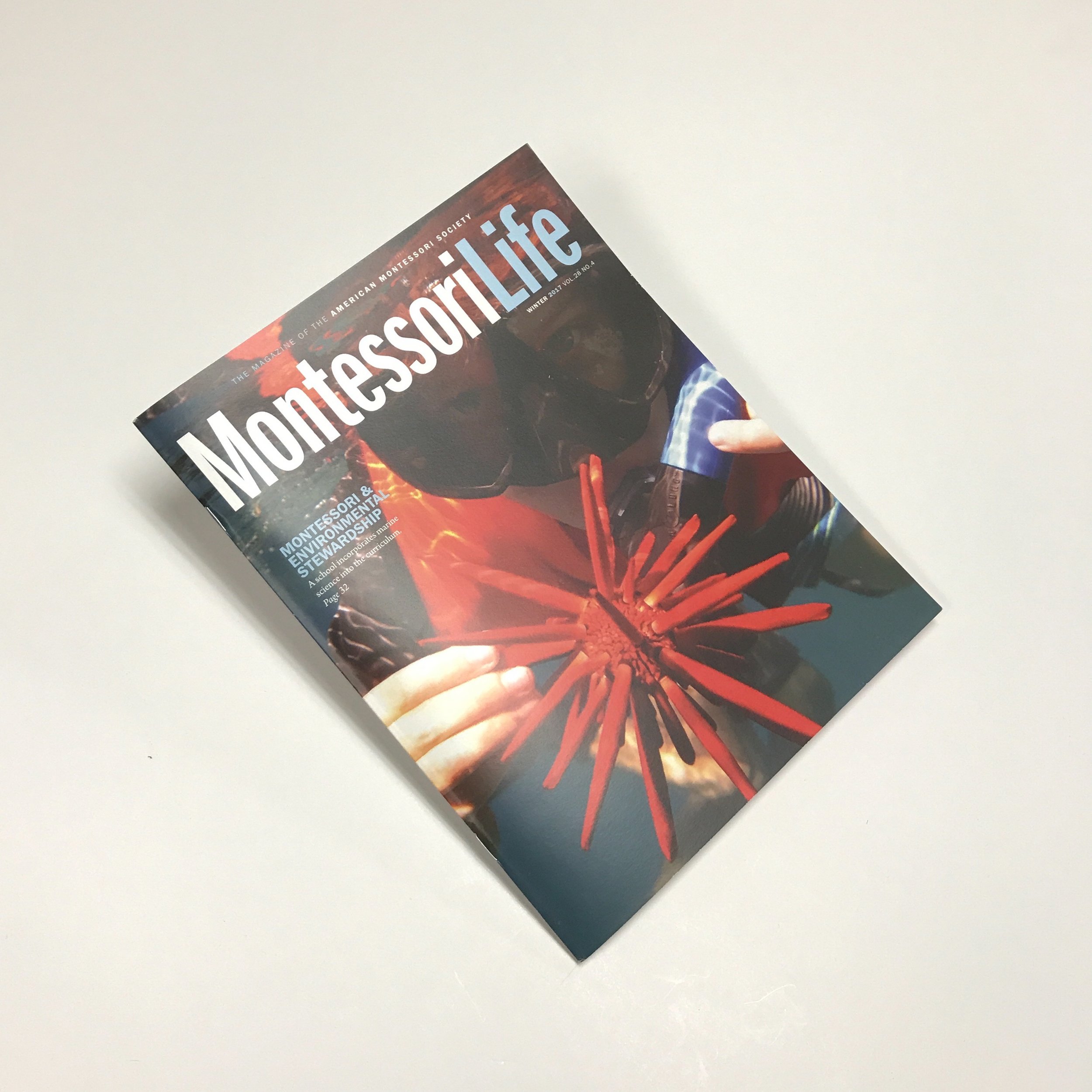 Private education newsletter booklet printed in Minneapolis by Anderberg Print