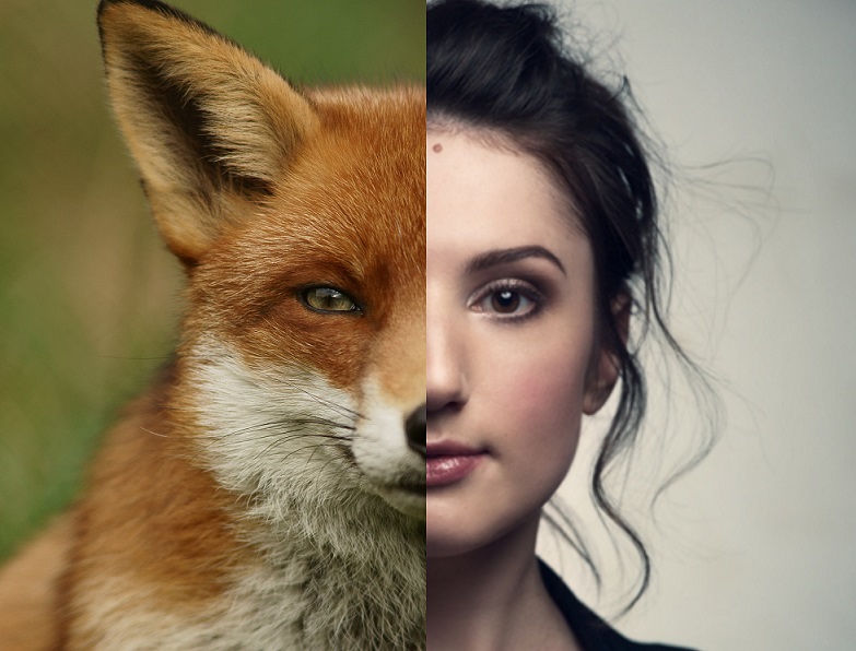 The Cunning Little Vixen Programme notes