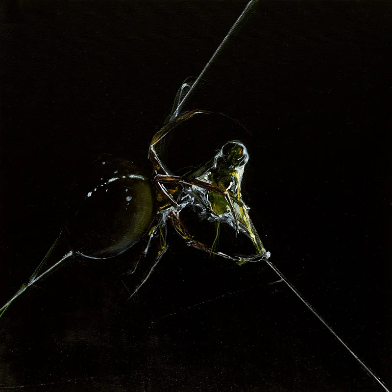 2Spider-and-the-FlyTriptych.jpg