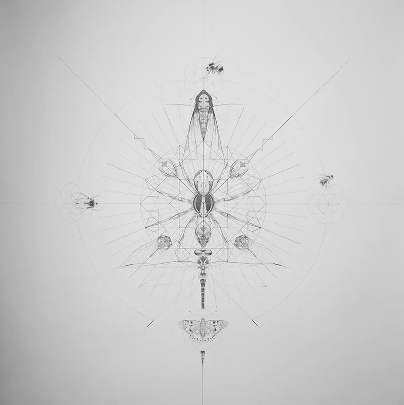 Creation
