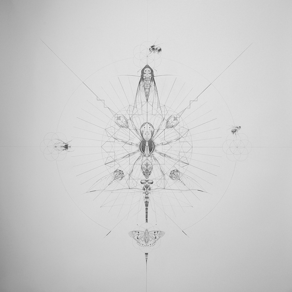 Creation