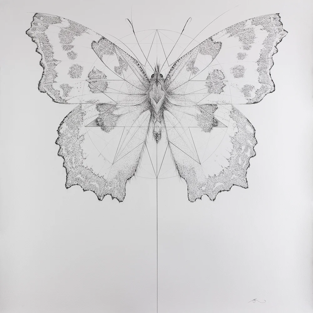 Large Tortoiseshell (93 Extinct Butterflies)