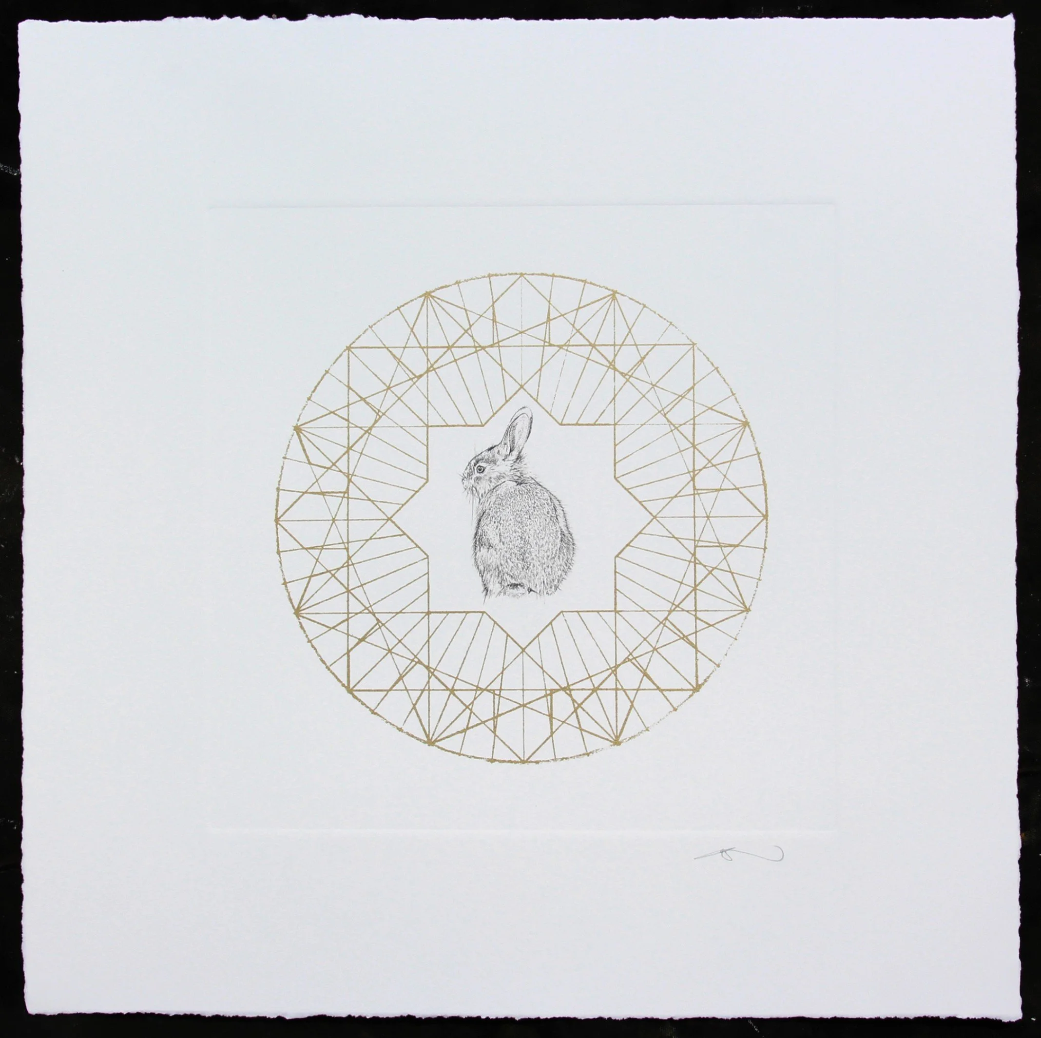 Little Rabbit - Archival inkjet print with a 1 colour screen print overlay on Somerset Satin 330gsm paper with deckled edge