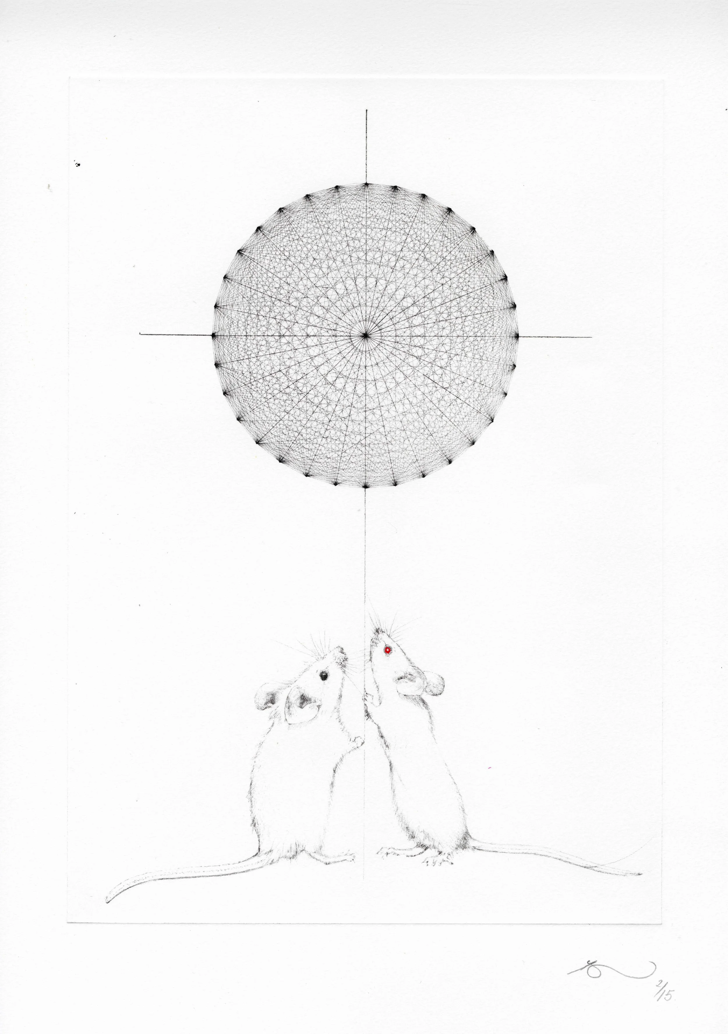 Wheel of Fortune - Rota Fortunae