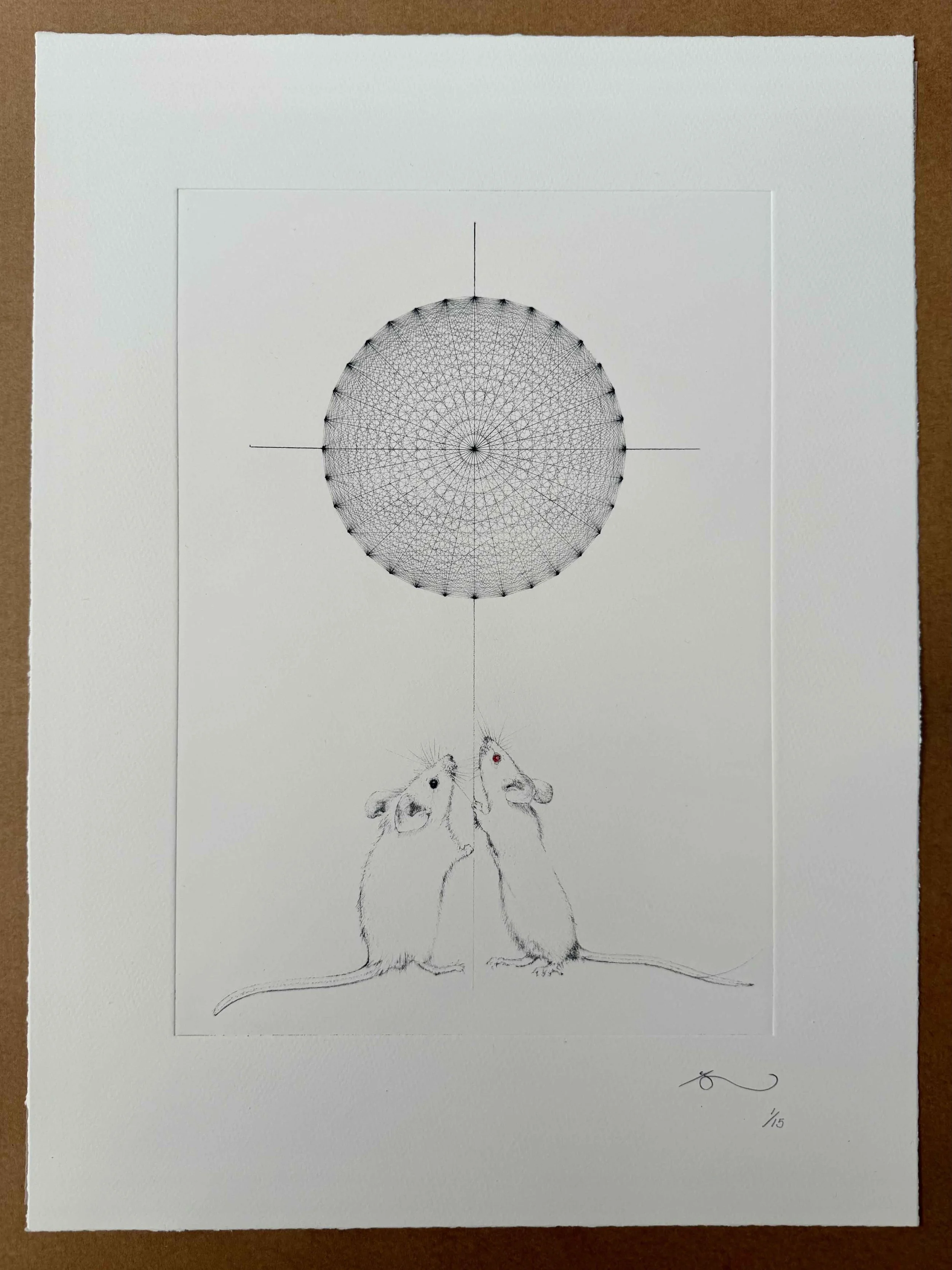 ACBF MICE.jpg