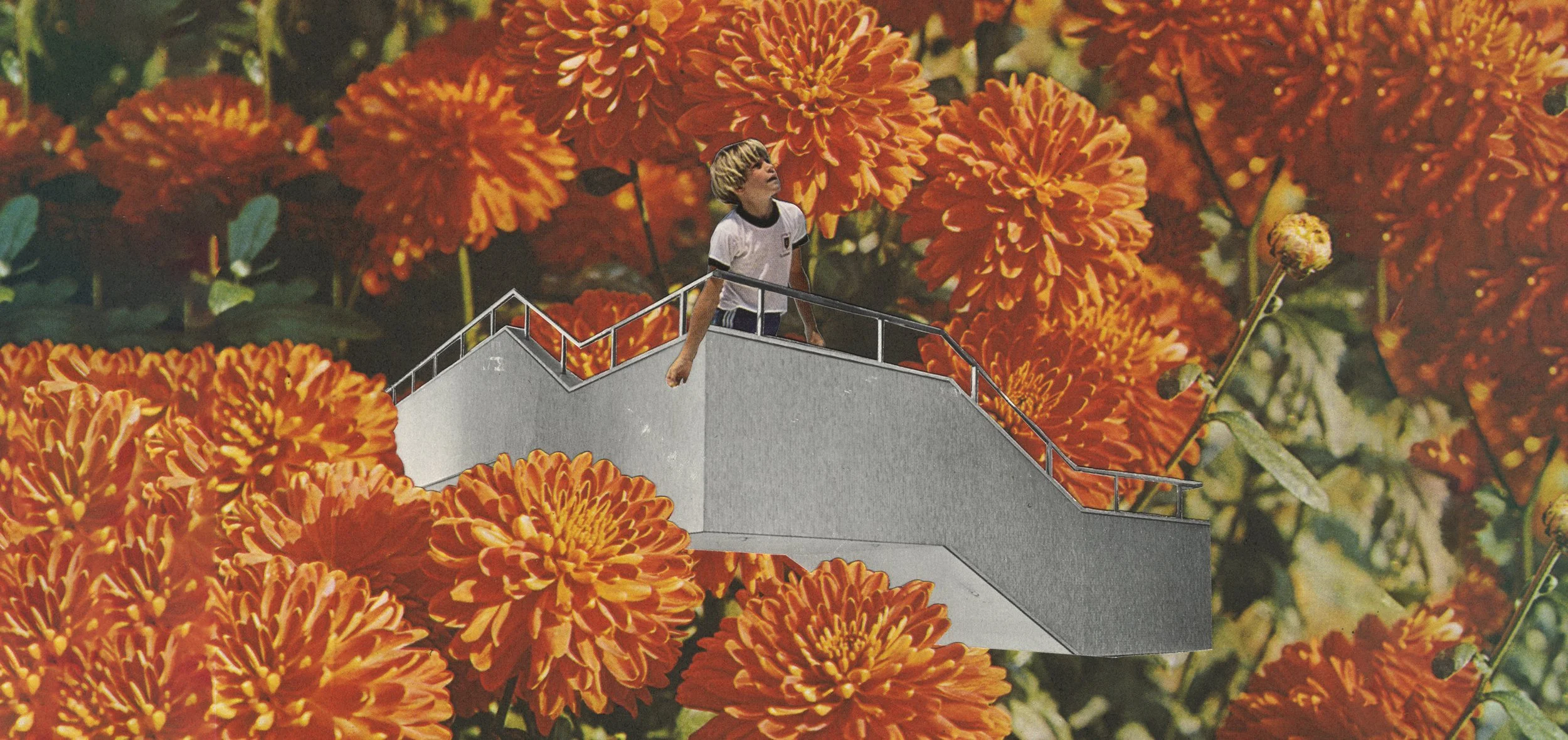 Flower Balcony_wide_01.jpg