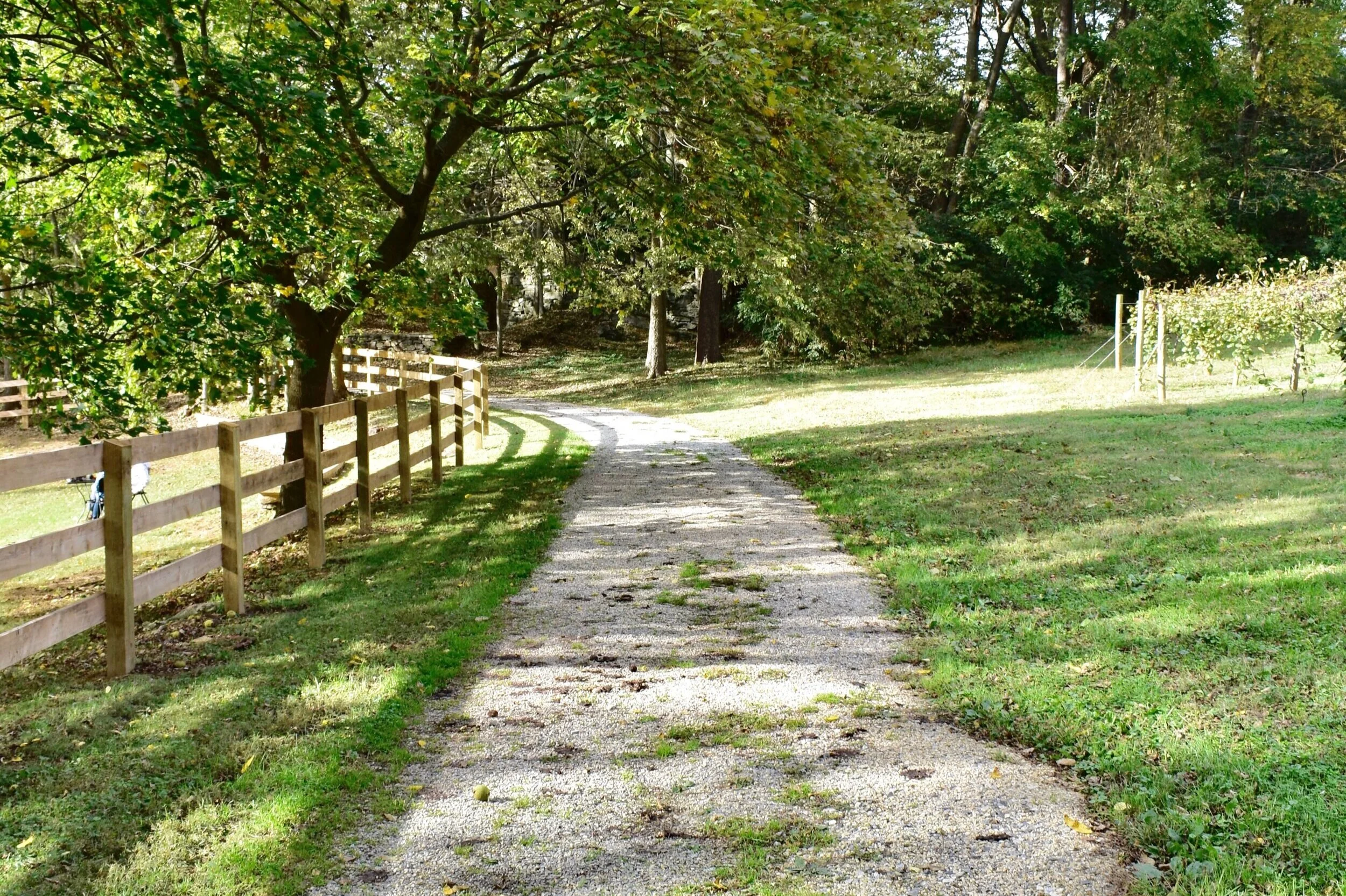 Social Distancing and Self-Isolation - How I’m Taking Care of Myself 