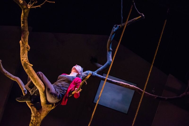 Molly Sweeney Lyric Belfast 1.jpeg