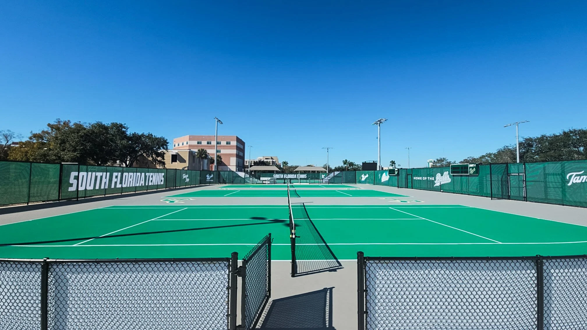 University of South Florida