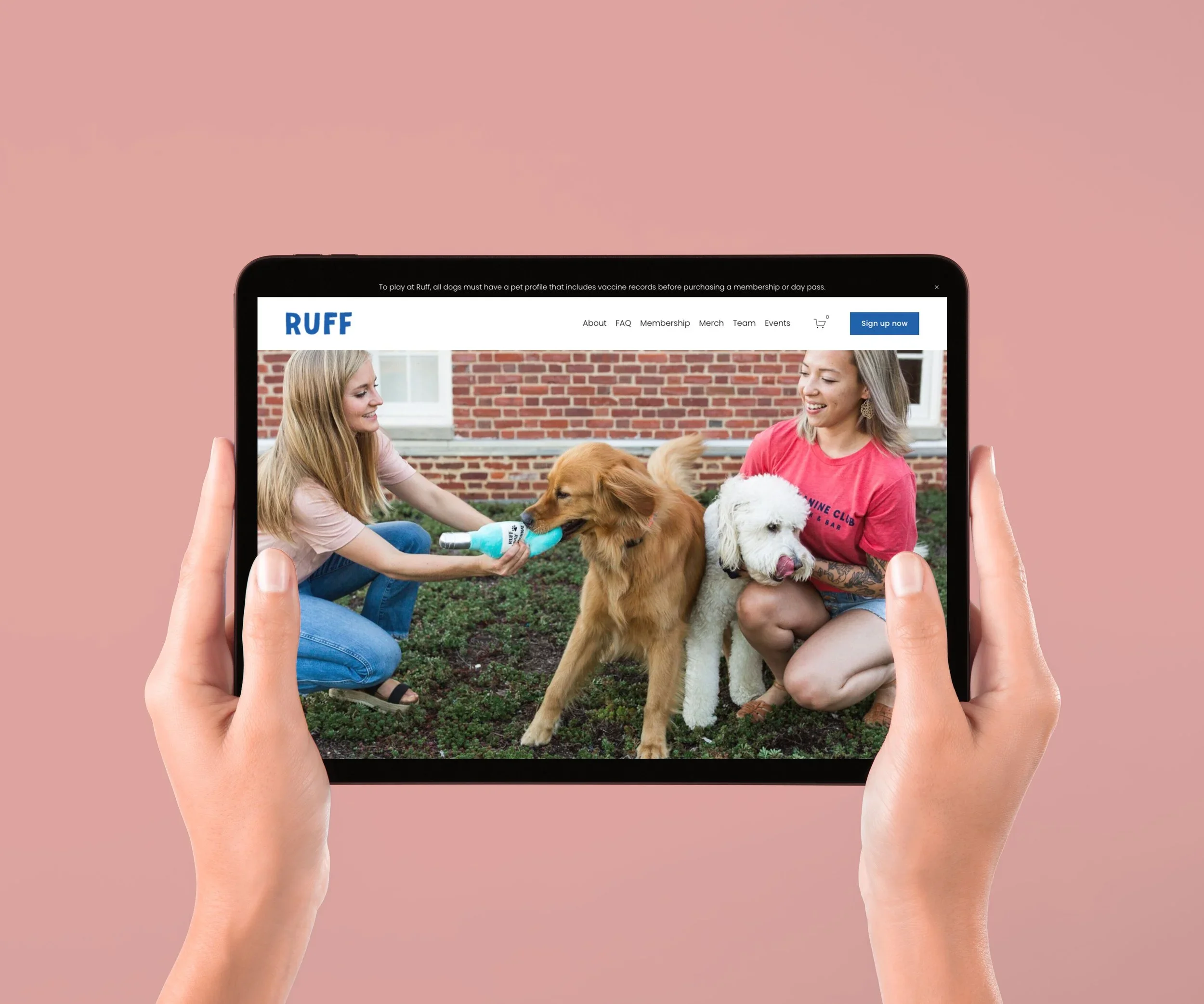 Ruff-Canine-Club-Tablet-Mockup.webp