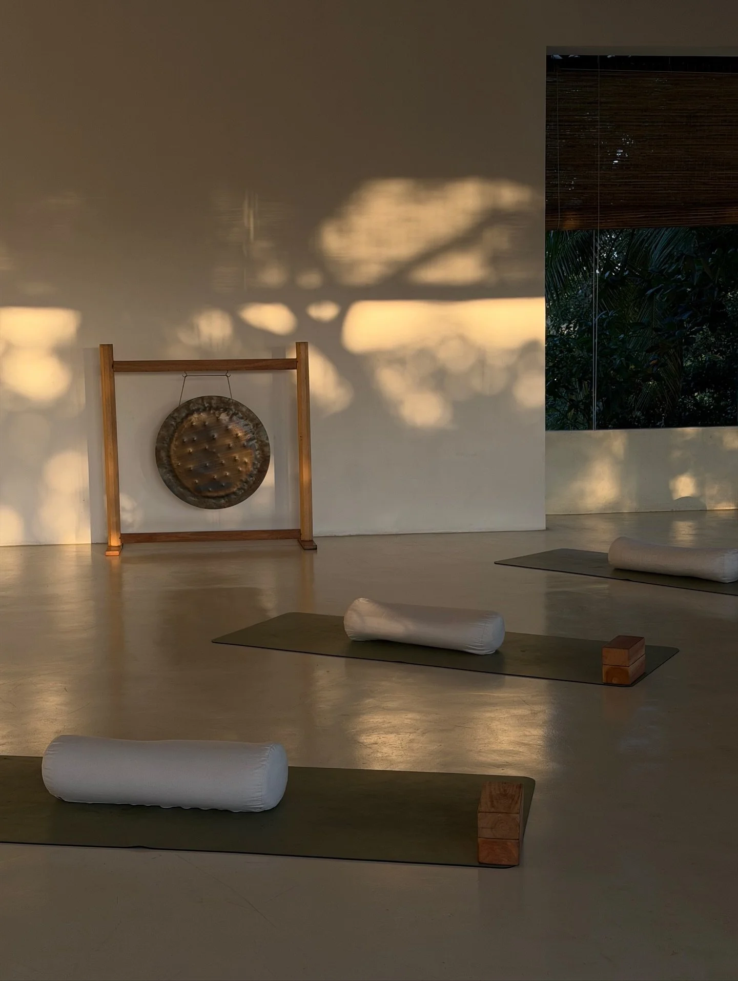 Moments in this magical shala ✨

It took me two years to find the right place to host my 200h teacher training, and I finally found it three years ago: open to the jungle, overlooking a lake, surrounded by trees, monkeys, colorful birds and butterfli