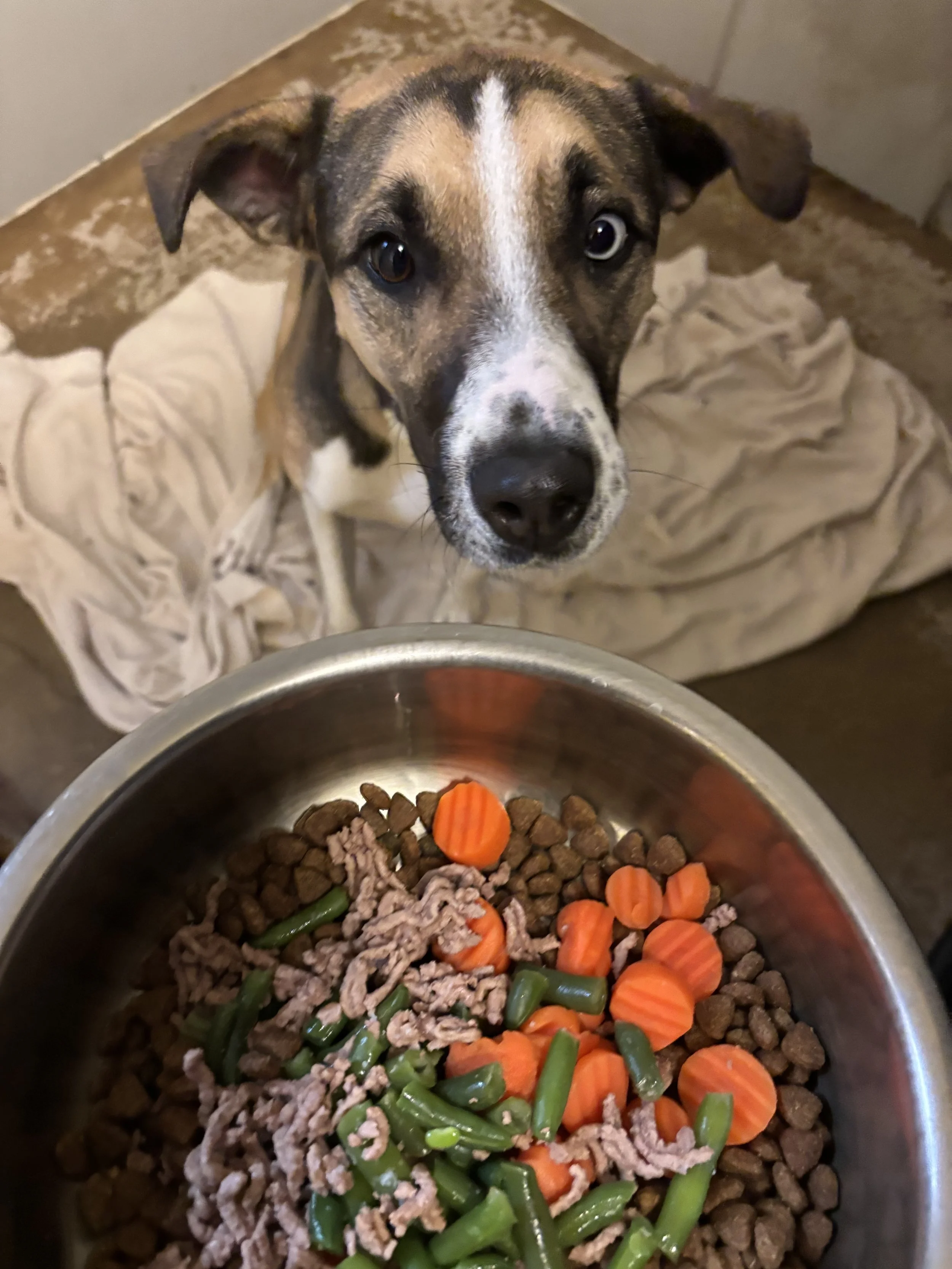 image5.jpeg