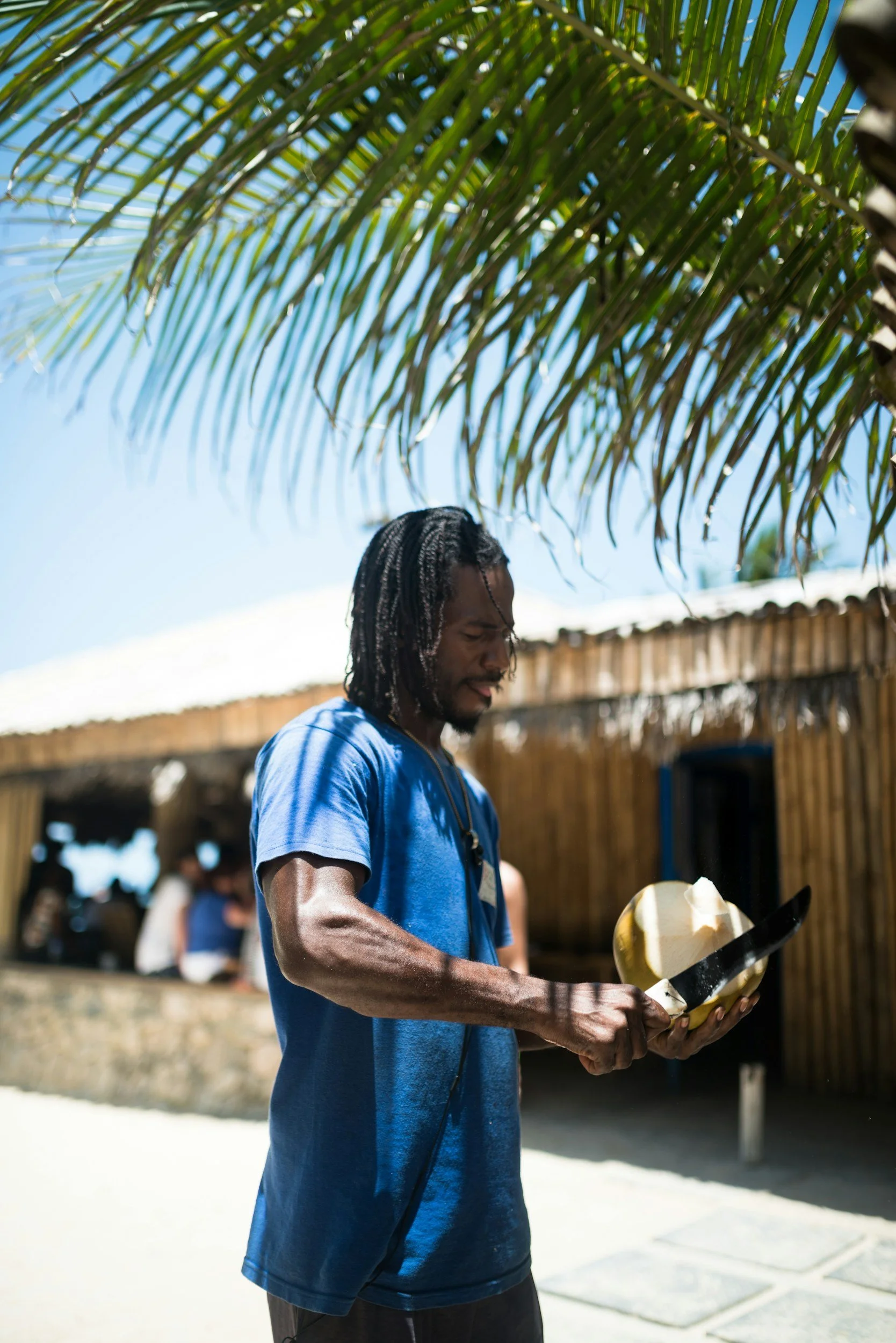 A man with dreadlocks in a blue t-shirt is holding and carving a coconut with a machete in an outdoor setting under a palm tree.