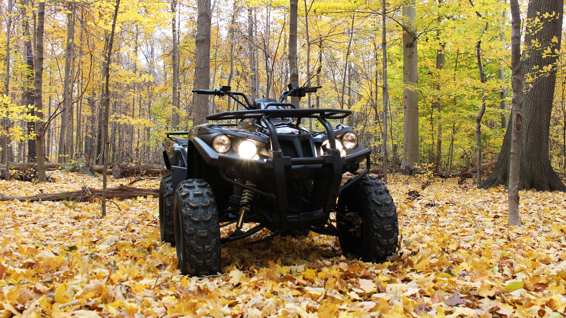 DRR Stealth Electric ATV alone in the woods..jpg