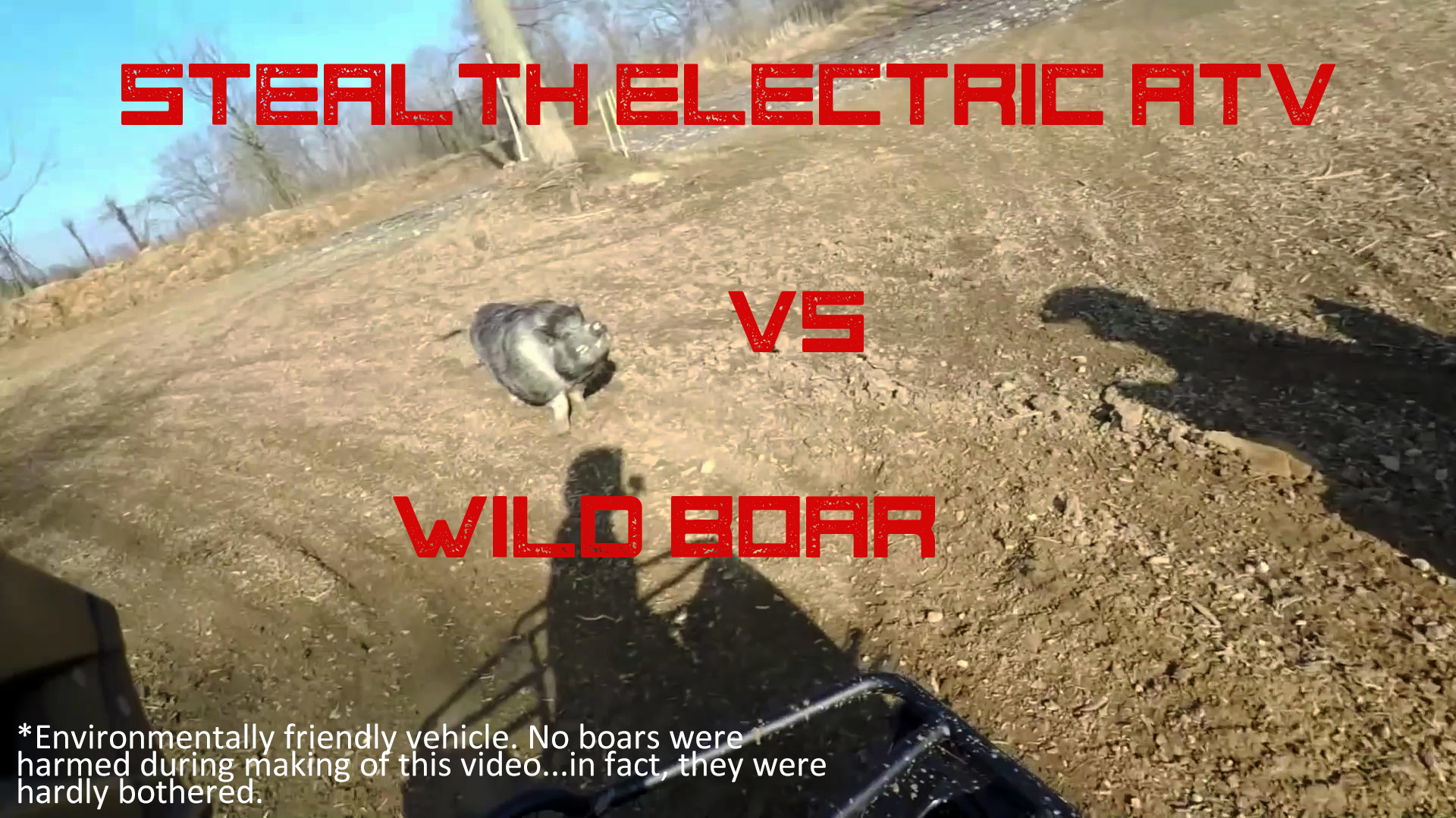 Boar Electric ATV Thumbnail.jpg