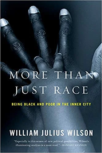 more than just race.jpg