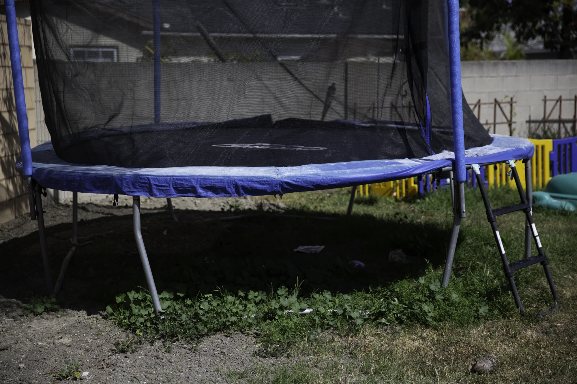 20180504-39-Without Children_LA Backyard.jpg