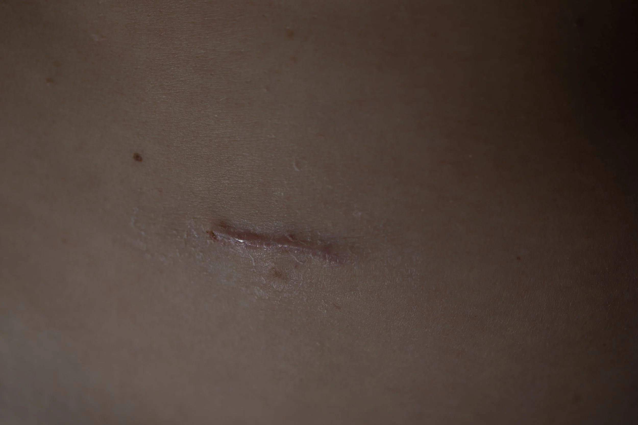 Heather Olker_Matrescense-2.jpg