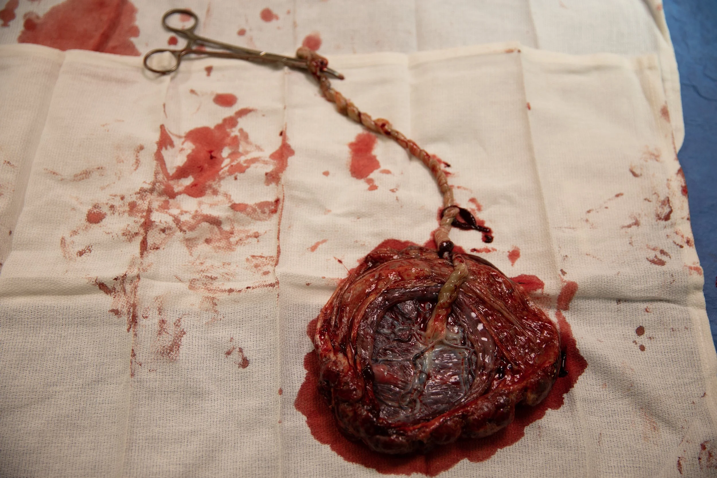 Heather Olker_Matrescense-8.jpg